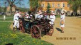 /album/fotogalerie/prestice-2012-179-jpg/